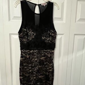 Black and Tan stretch